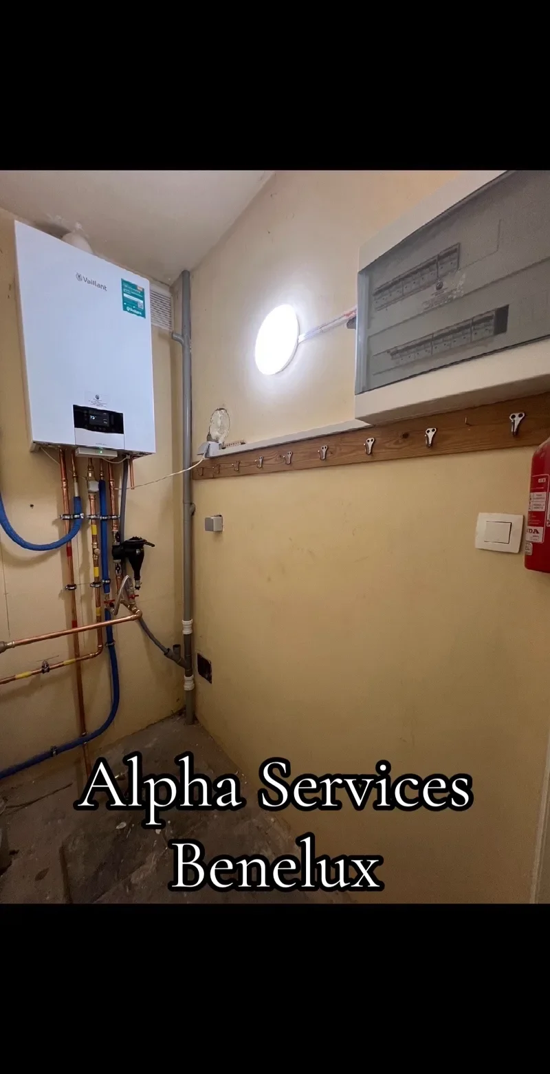 Électricien — Belgique — Alpha Services Benelux
